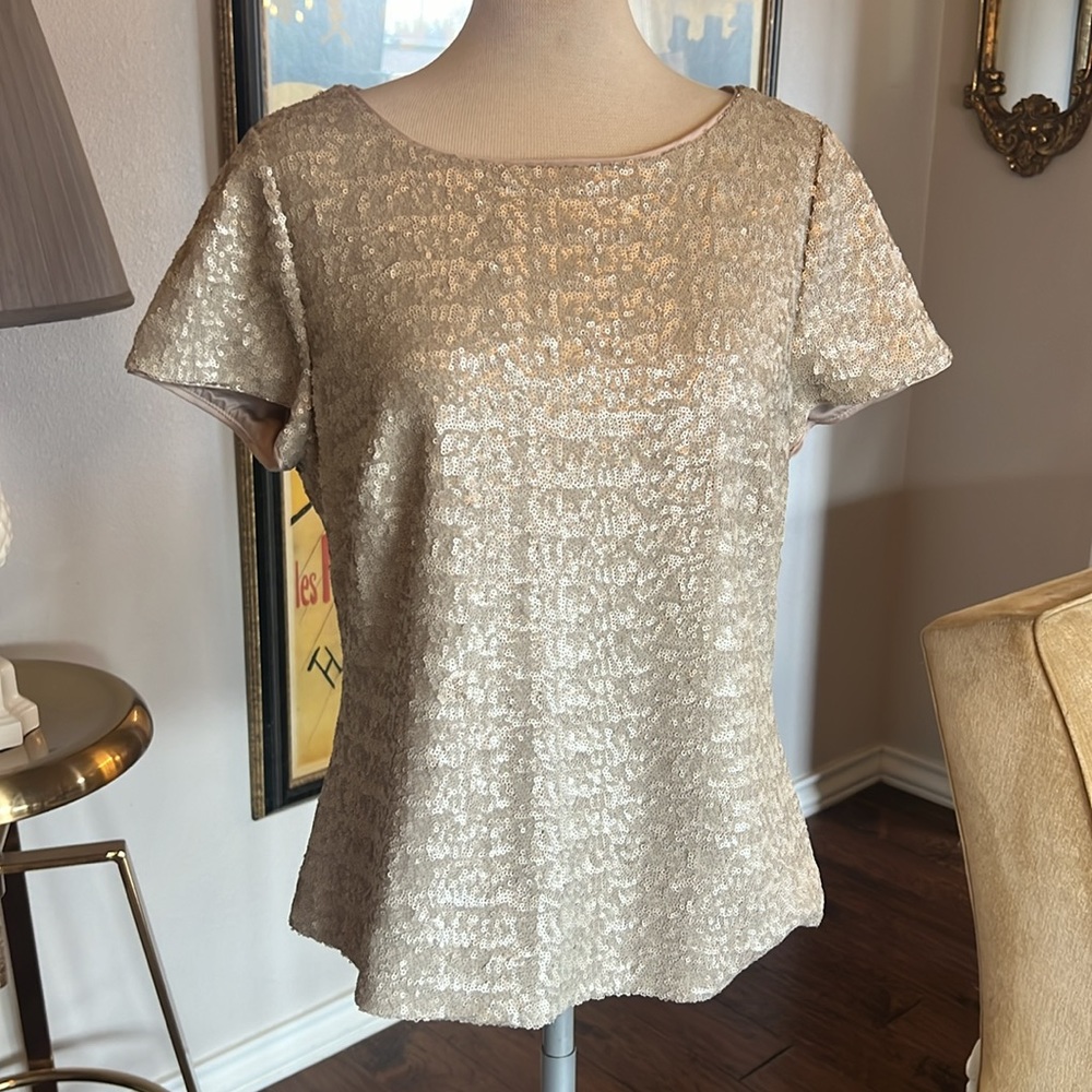 Boden sequin top